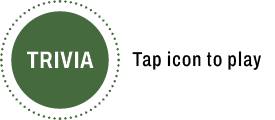 Trvia open