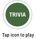 Trvia open