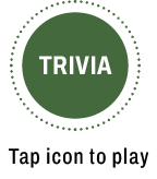Trvia open