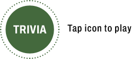 Trvia open