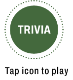 Trvia open